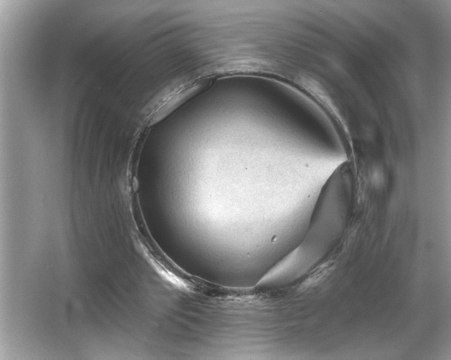 X0000065970389200603031134