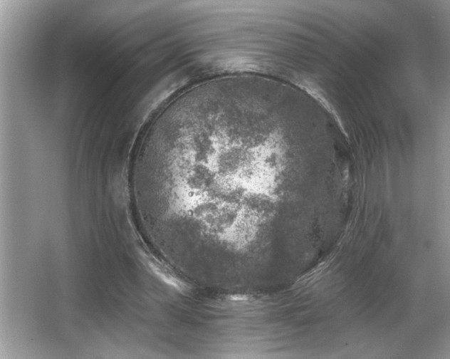 X0000065970390200603031134