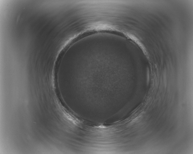 X0000065970391200603031134