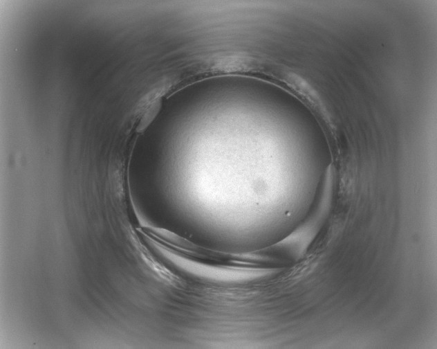 X0000065970393200603031134