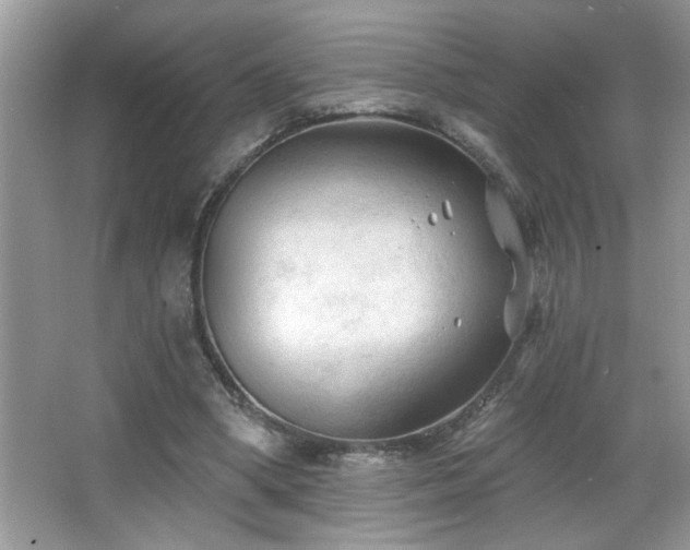 X0000065970394200603031134