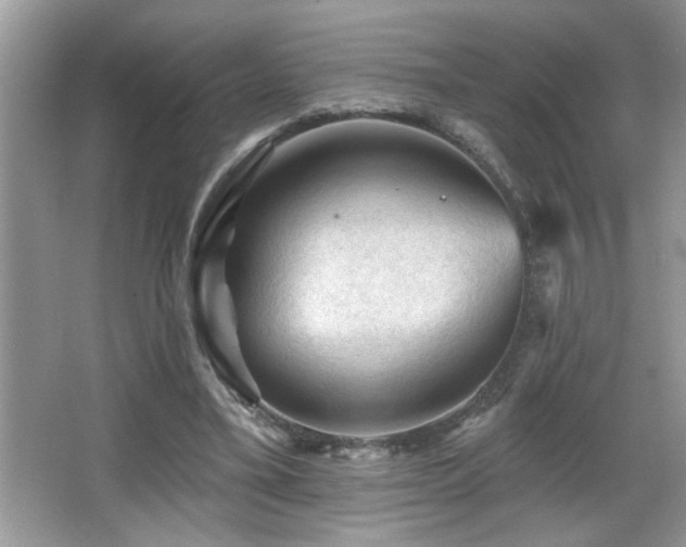 X0000065970395200603031134