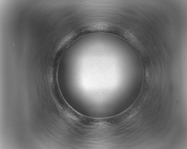 X0000065970396200603031134