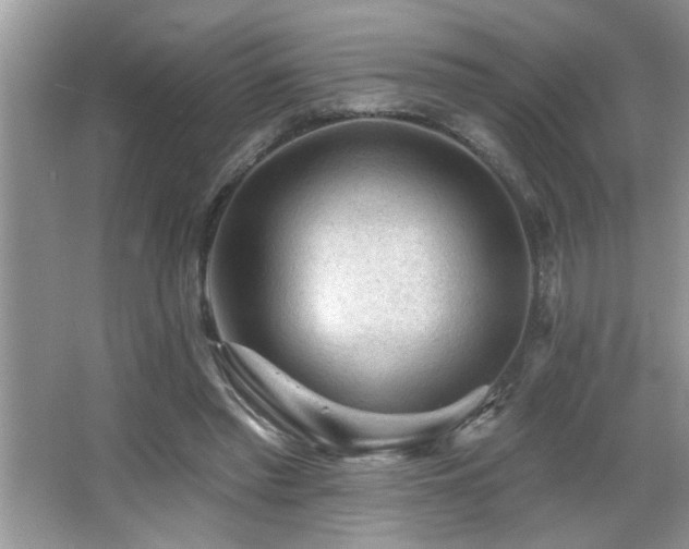 X0000065970397200603031134