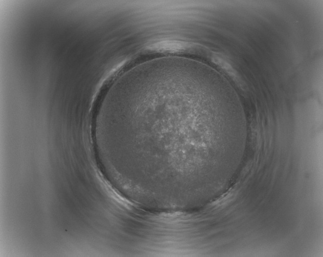 X0000065970399200603031134