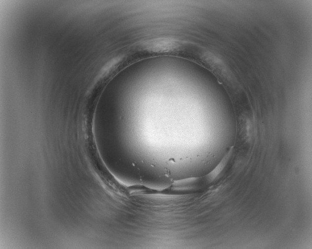 X0000065970400200603031134