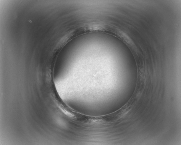 X0000065970401200603031134