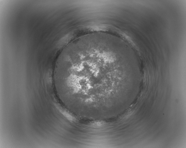 X0000065970402200603031134