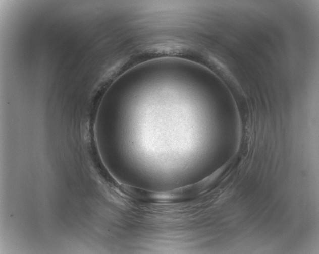 X0000065970403200603031134