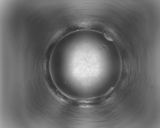 X0000065970404200603031134