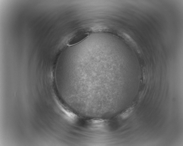 X0000065970405200603031134