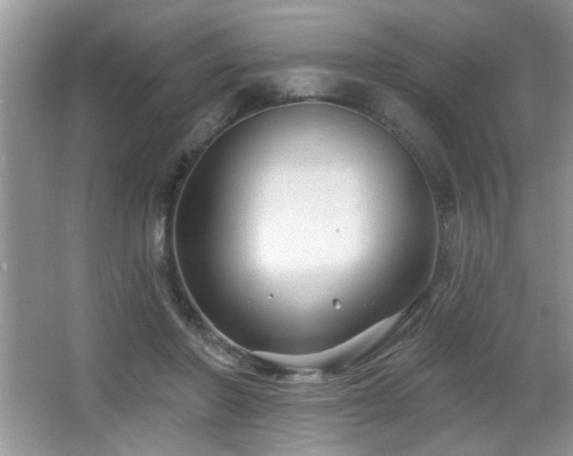 X0000065970406200603031134