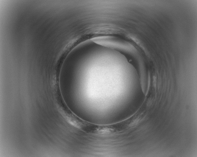 X0000065970407200603031134