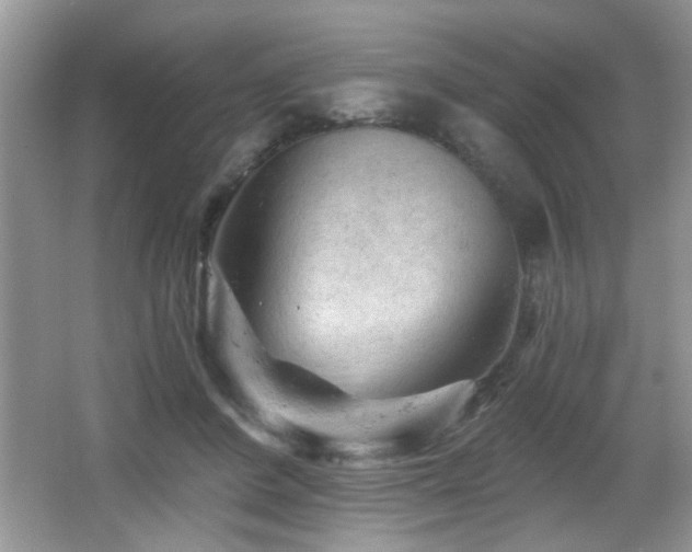 X0000065970408200603031134