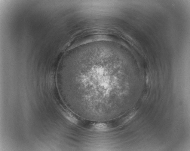 X0000065970409200603031134