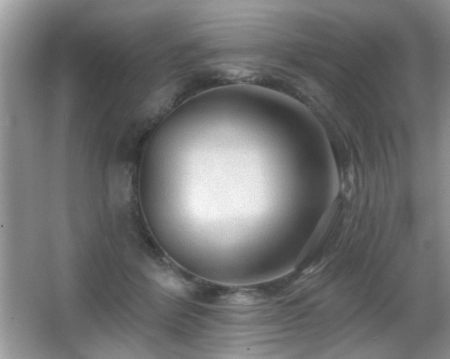 X0000065970412200603031134