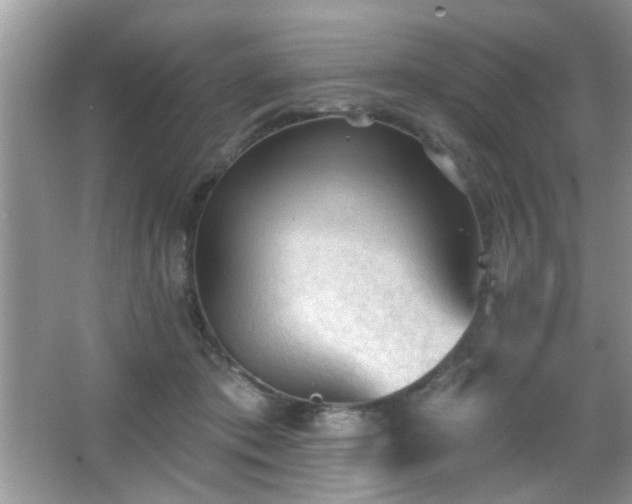 X0000065970413200603031134