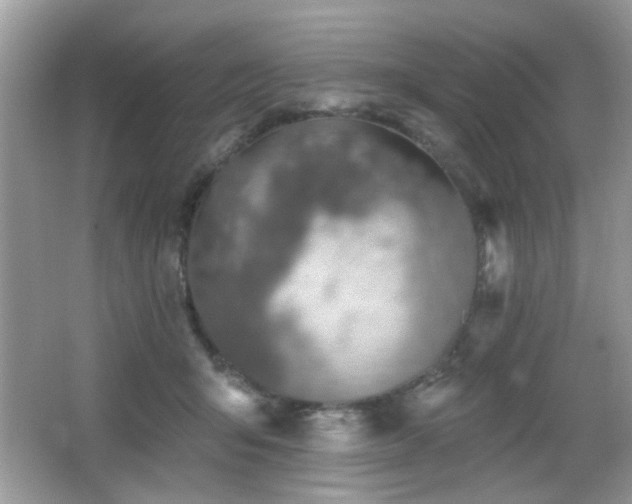 X0000065970415200603031134