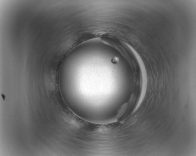 X0000065970416200603031134