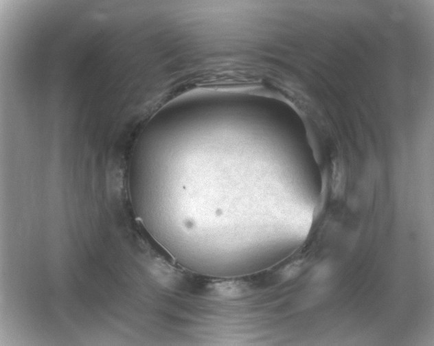 X0000065970417200603031133