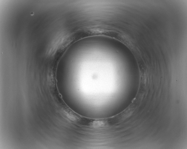 X0000065970418200603031133