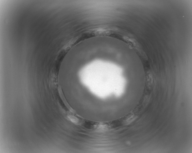 X0000065970419200603031133