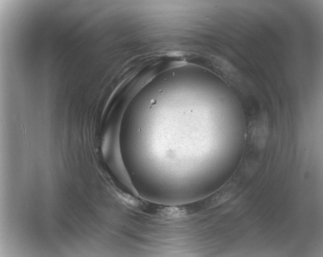 X0000065970421200603031133