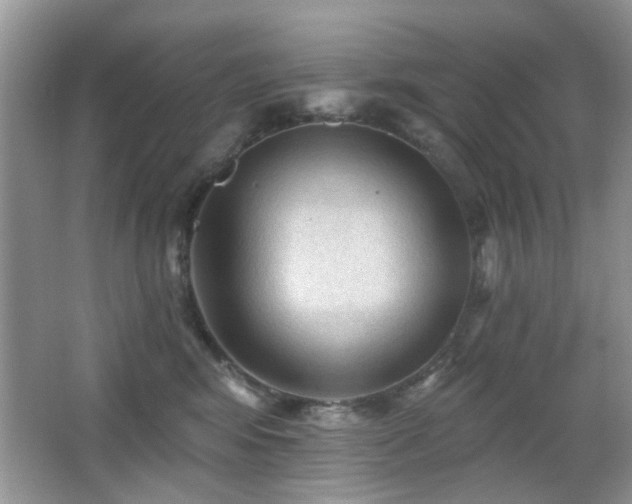 X0000065970424200603031133