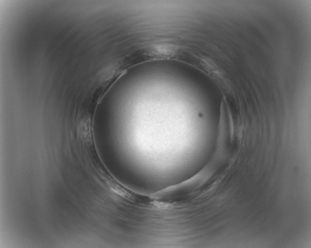 X0000065970425200603031133