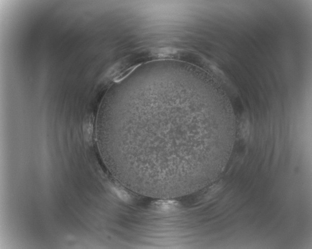 X0000065970427200603031133