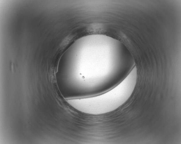 X0000065970429200603031133