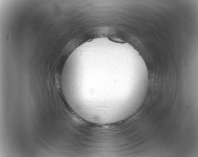 X0000065970430200603031133