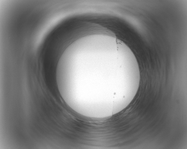 X0000065970431200603031133