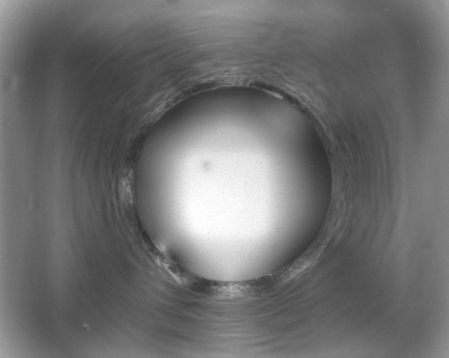 X0000065970432200603031133