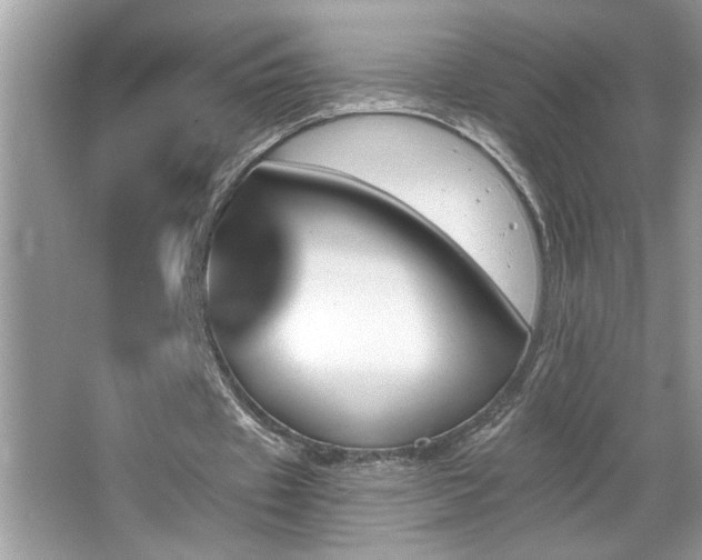 X0000065970433200603031132