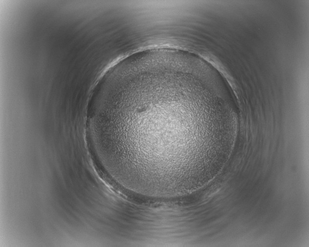 X0000065970434200603031132