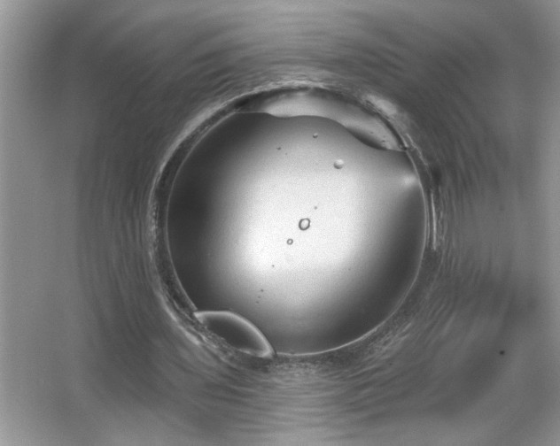 X0000065970435200603031132