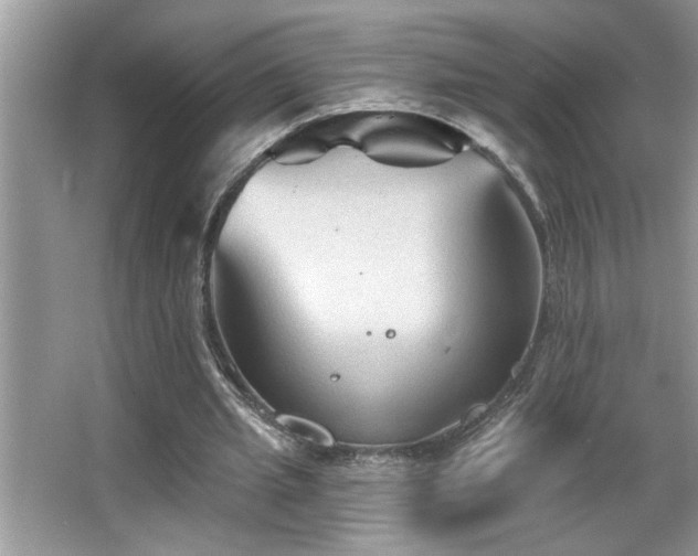 X0000065970437200603031132