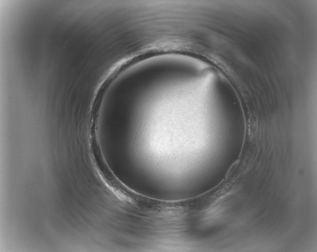 X0000065970438200603031133