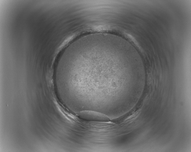 X0000065970443200603031133