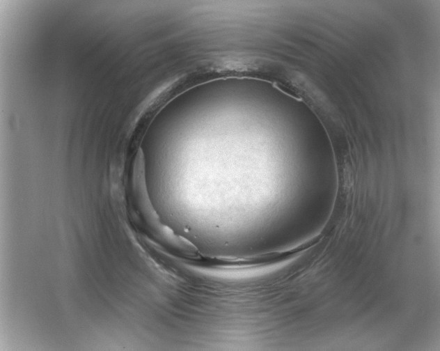 X0000065970444200603031133