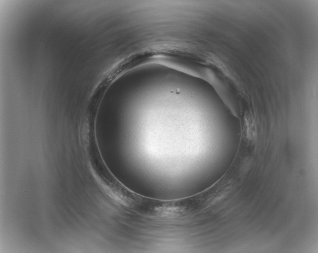 X0000065970448200603031133