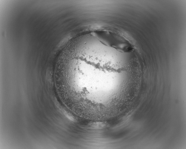 X0000065970449200603031133