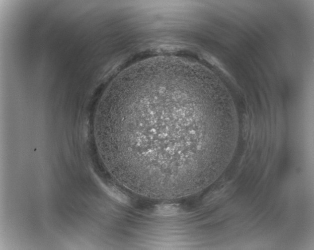 X0000065970451200603031133