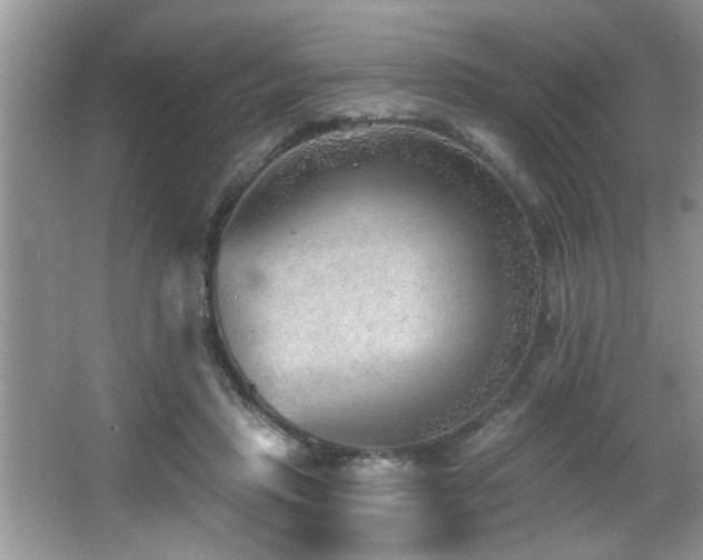 X0000065970453200603031133