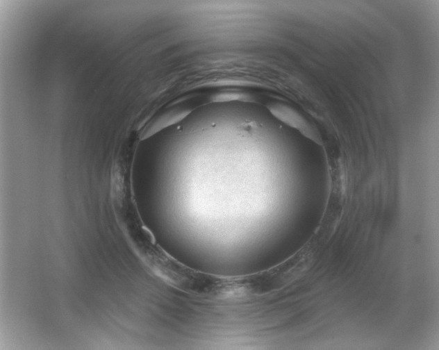 X0000065970456200603031133