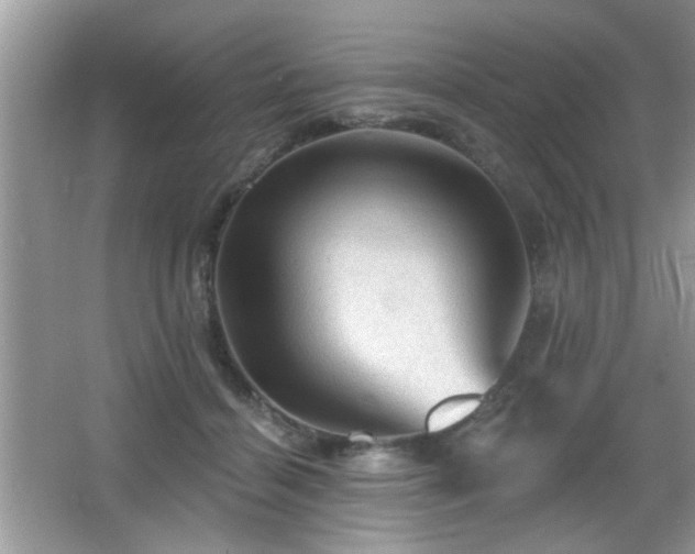 X0000065970460200603031133