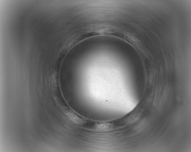 X0000065970461200603031133