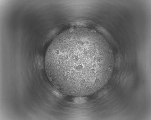 X0000065970465200603031133