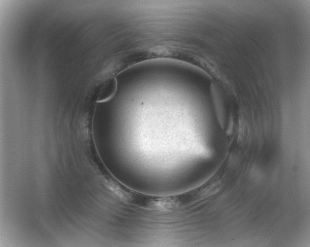 X0000065970466200603031133